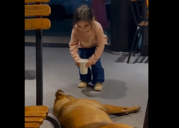 Korkmasına rağmen köpeğe su götürdü