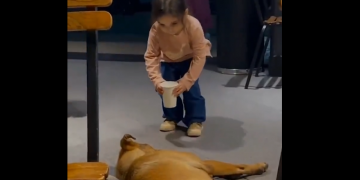 Korkmasına rağmen köpeğe su götürdü